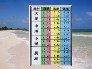 新竹地區海岸潮水表